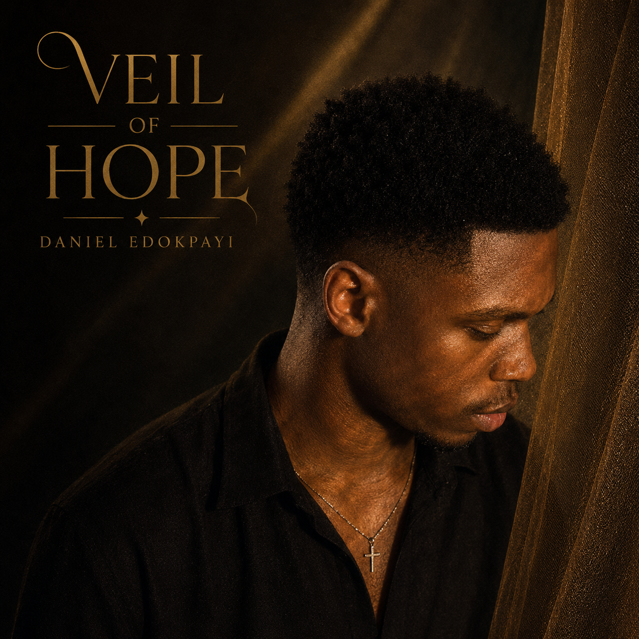 Veil Of Hope album cover
